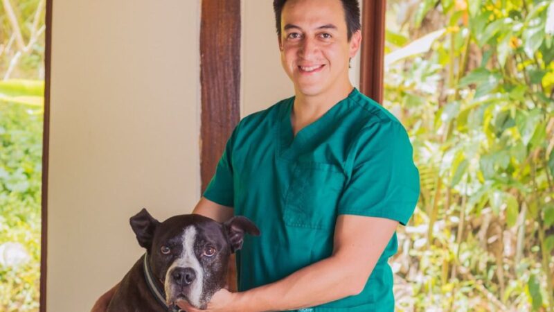 Uywa Vet es la primera línea veterinaria a base de cannabis en el Ecuador