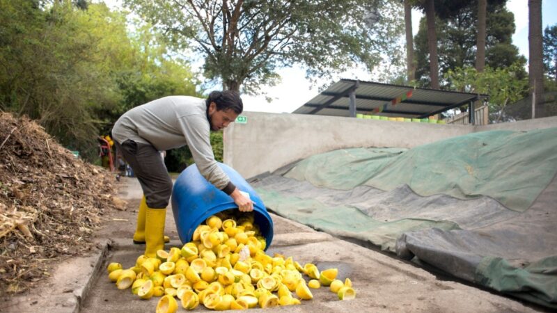 OLÉ convierte los desechos orgánicos en compost para pequeños agricultores