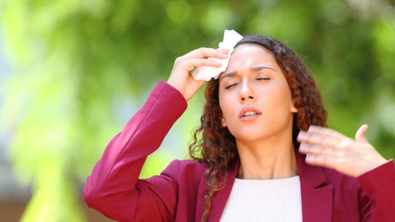 La ola de calor impulsa el mercado de la ventilación en Ecuador