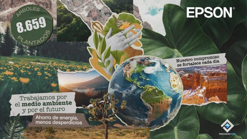 Zigze Arte Salvaje, un emprendimiento familiar que captura la escencia del Ecuador