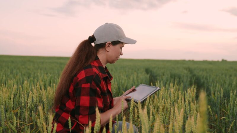 Agricultura inteligente en Ecuador: más productividad sin sacrificar el suelo