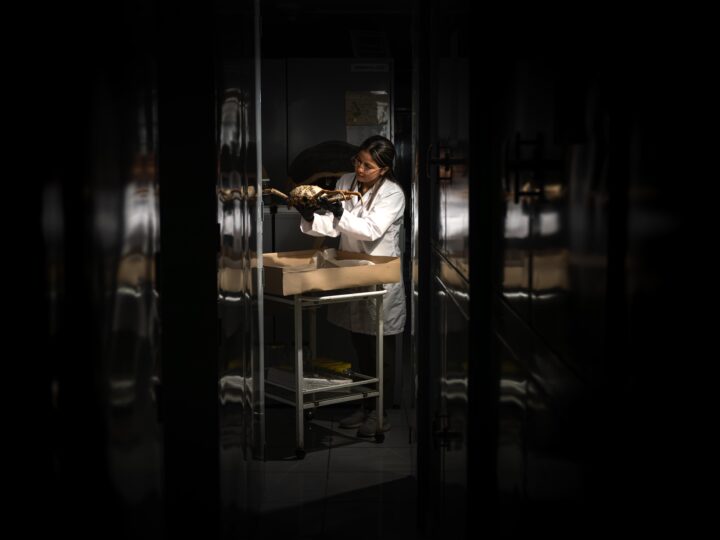 Fundación Charles Darwin abre al público su mayor archivo de biodiversidad