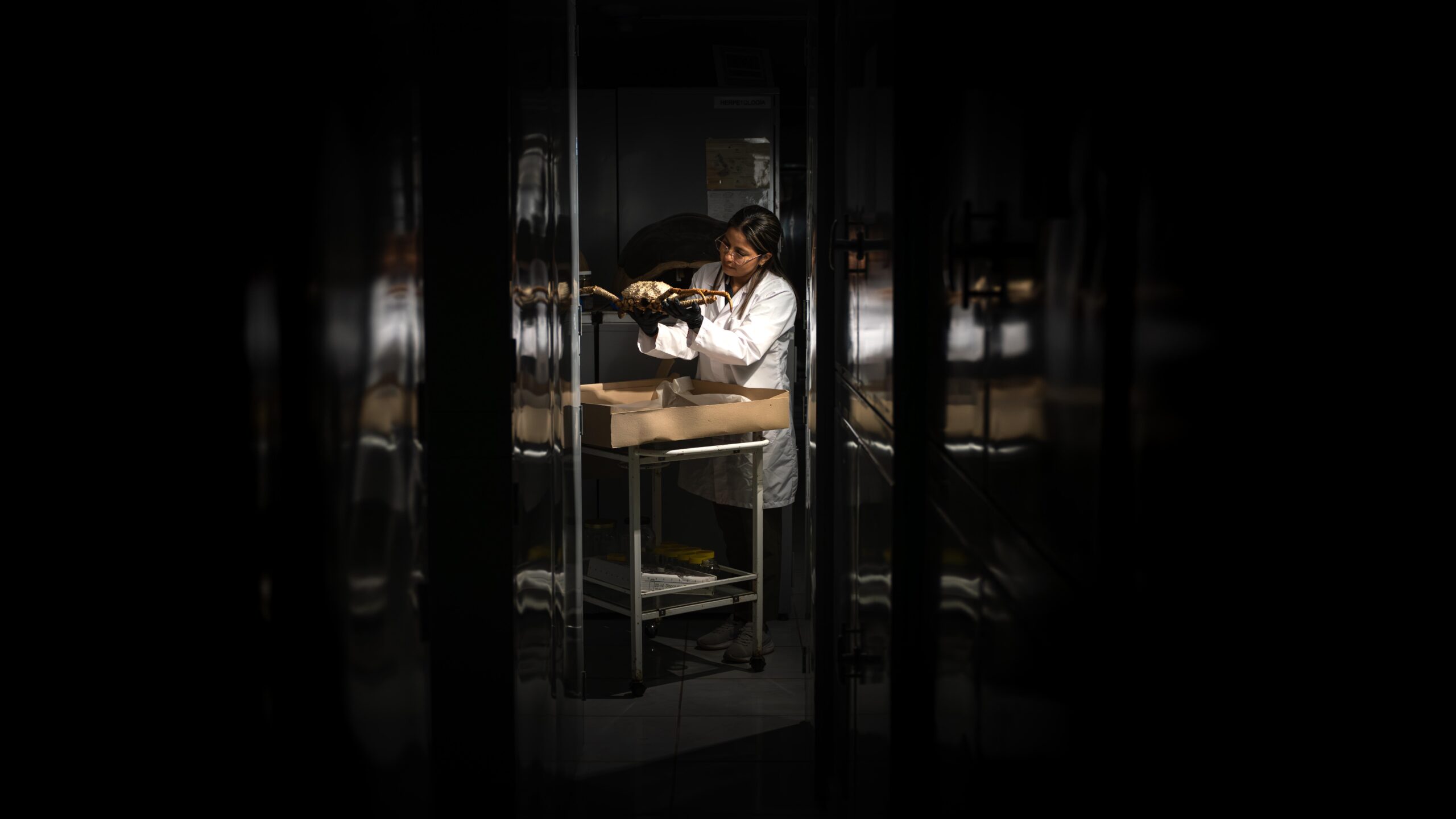 Fundación Charles Darwin abre al público su mayor archivo de biodiversidad