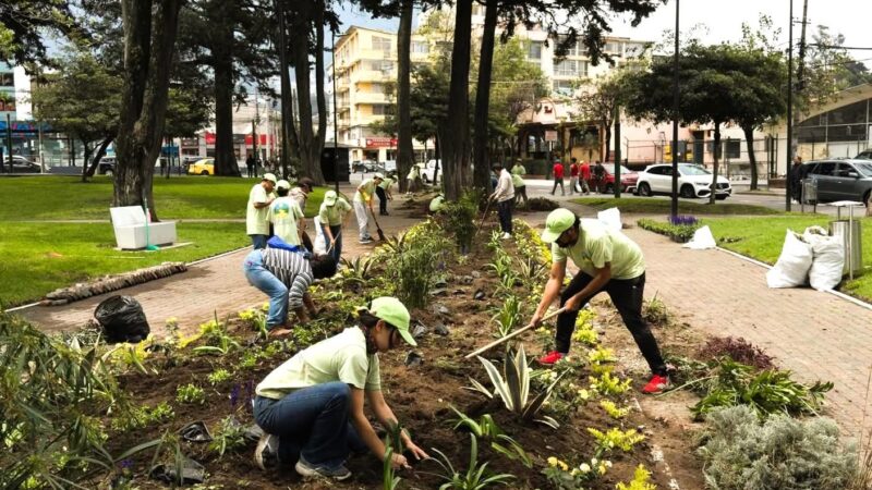La comunidad transformó el Parque General Julio Andrade en La Mariscal