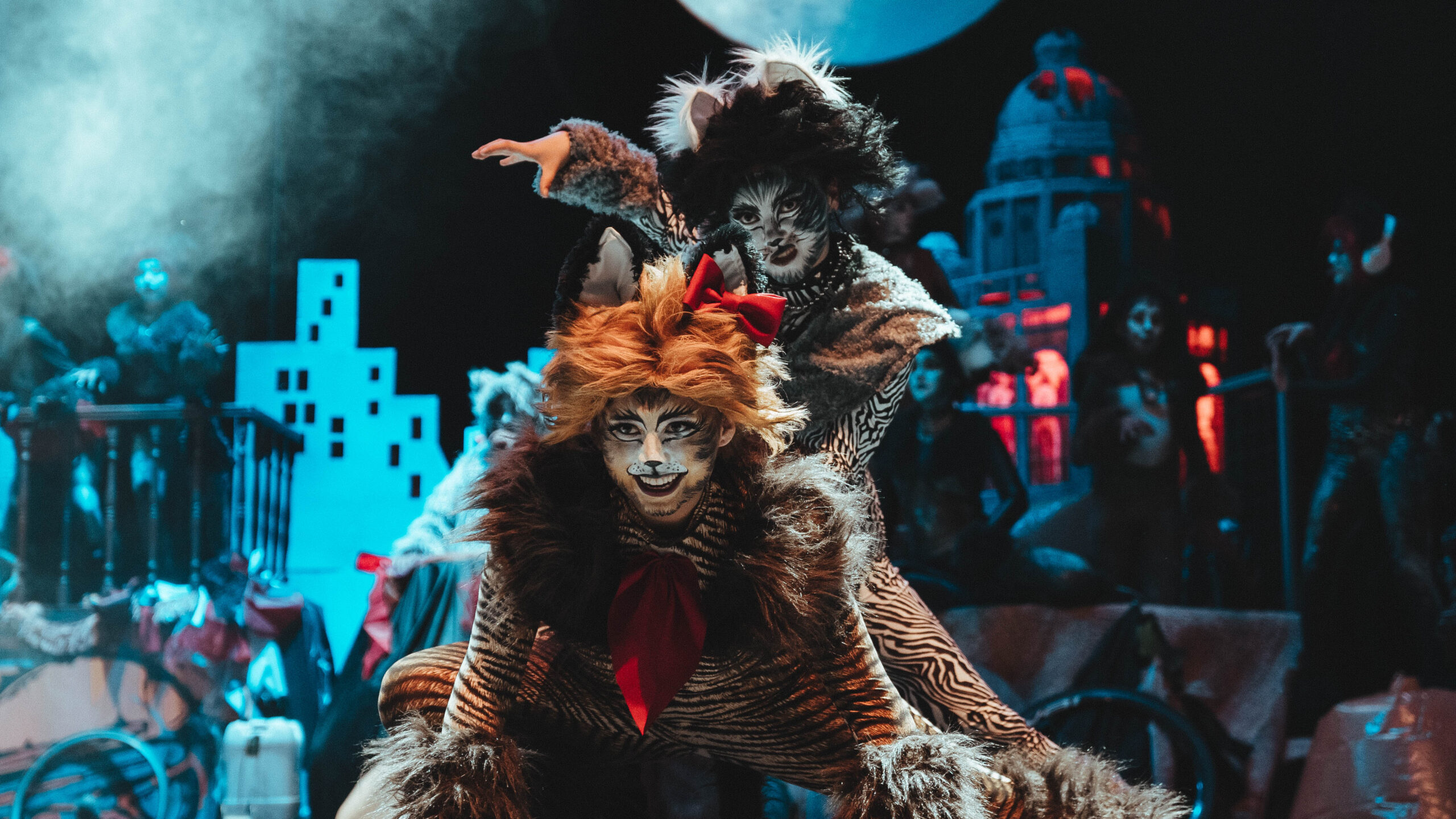 CATS El Musical regresa a escena en Quito, Cuenca y Ambato