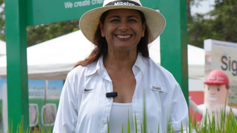 Ingenieros agrónomos de Ecuador lideran la revolución digital en el campo